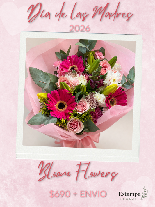 Bloom Flowers